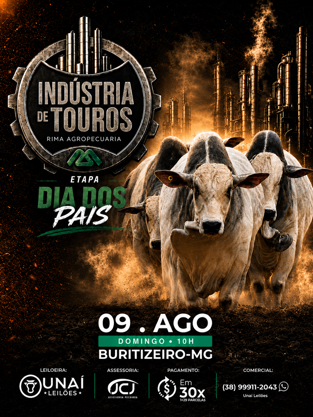 LEIL�O INDUSTRIA DE TOUROS RIMA - ETAPA DIA DOS PAIS - BURITIZEIRO-MG